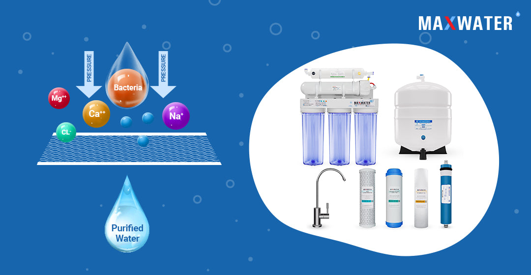 What does RO stand for, and which impurities can the Reverse Osmosis s