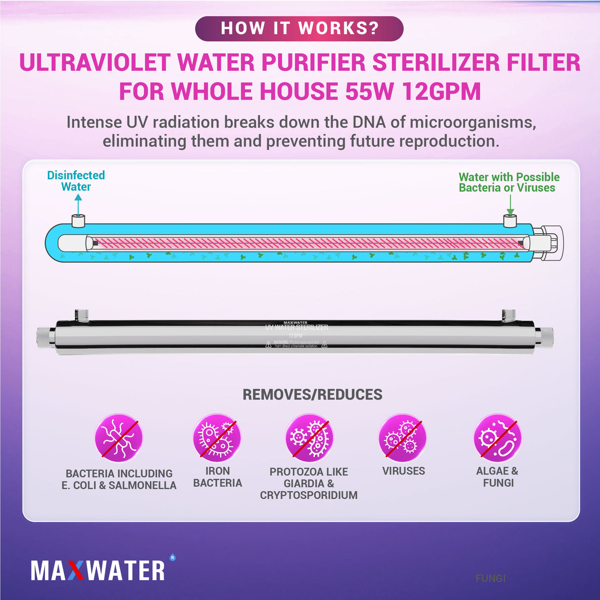 ultraviolet filters