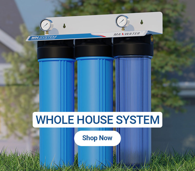 whole house water purification system