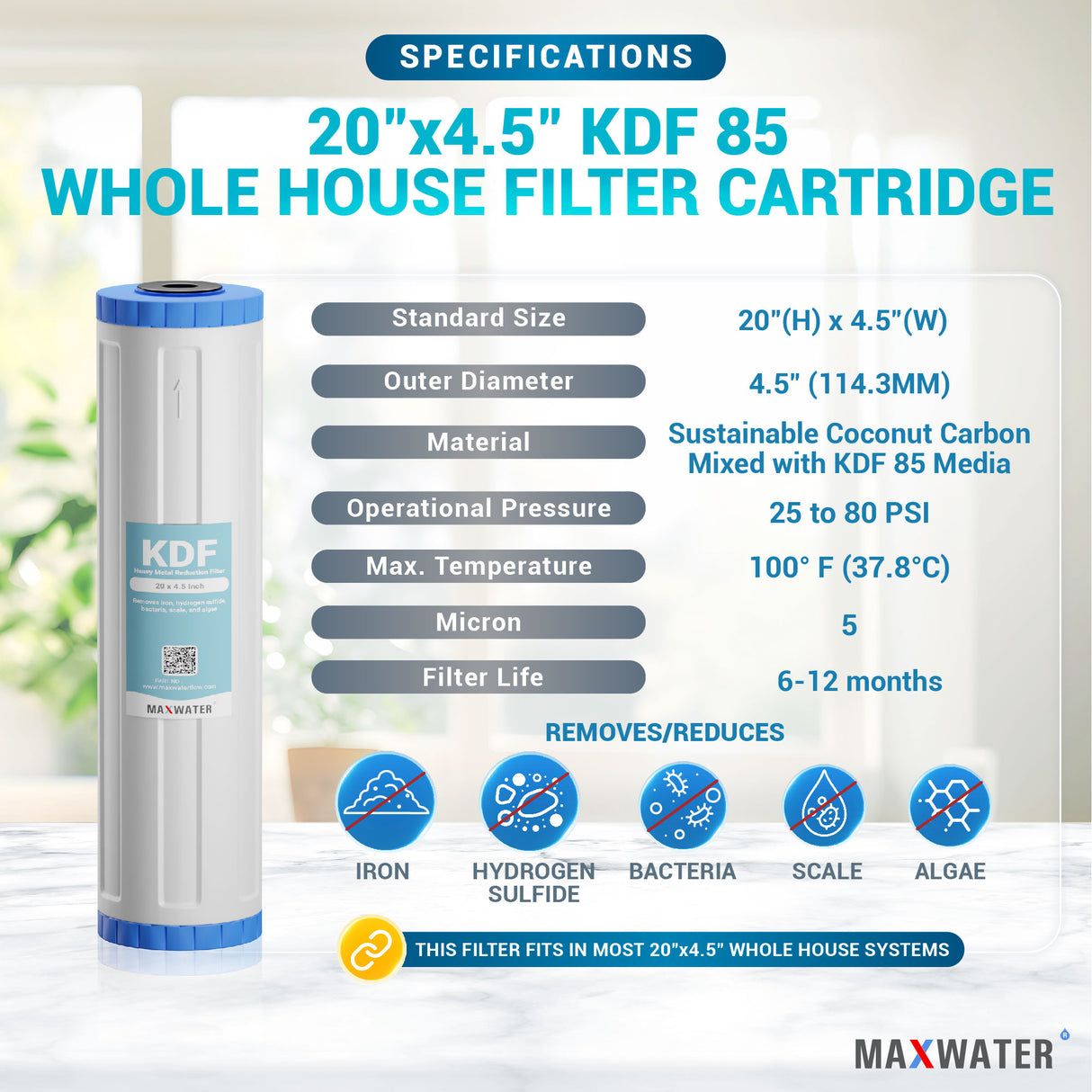 filter that removes lead