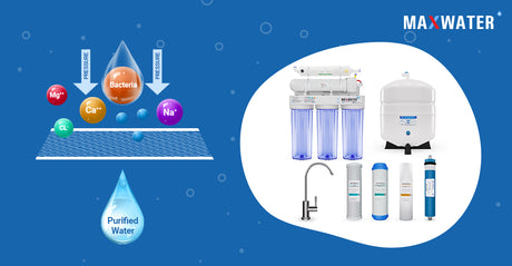 What does RO stand for, and which impurities can the Reverse Osmosis system eliminate?