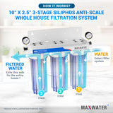 Comprehensive whole house filtration system providing pure water for every tap and appliance