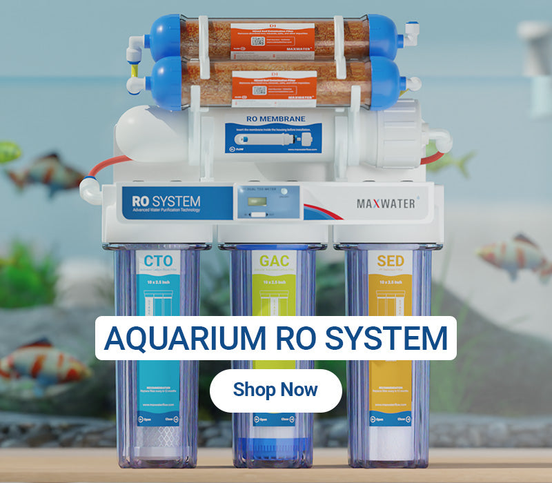 RO DI system for pure water for fish tanks